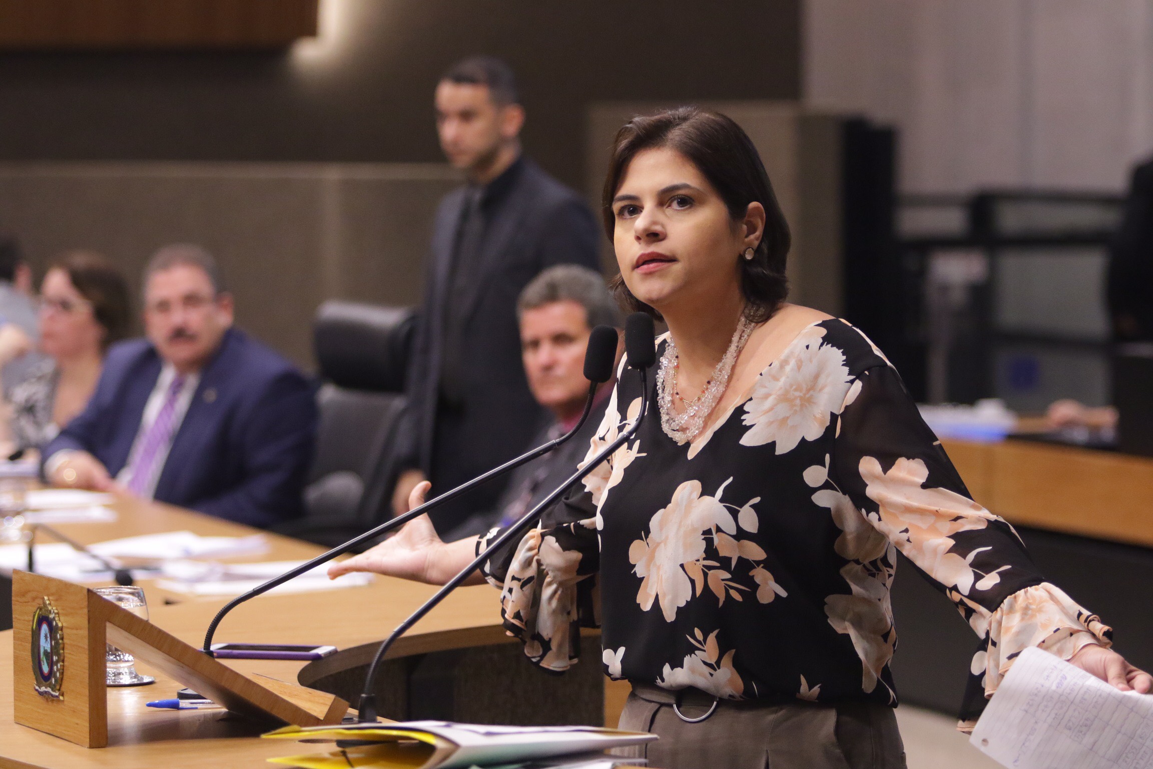 Priscila Krause volta a criticar o programa de assistência farmacêutica do Estado de Pernambuco