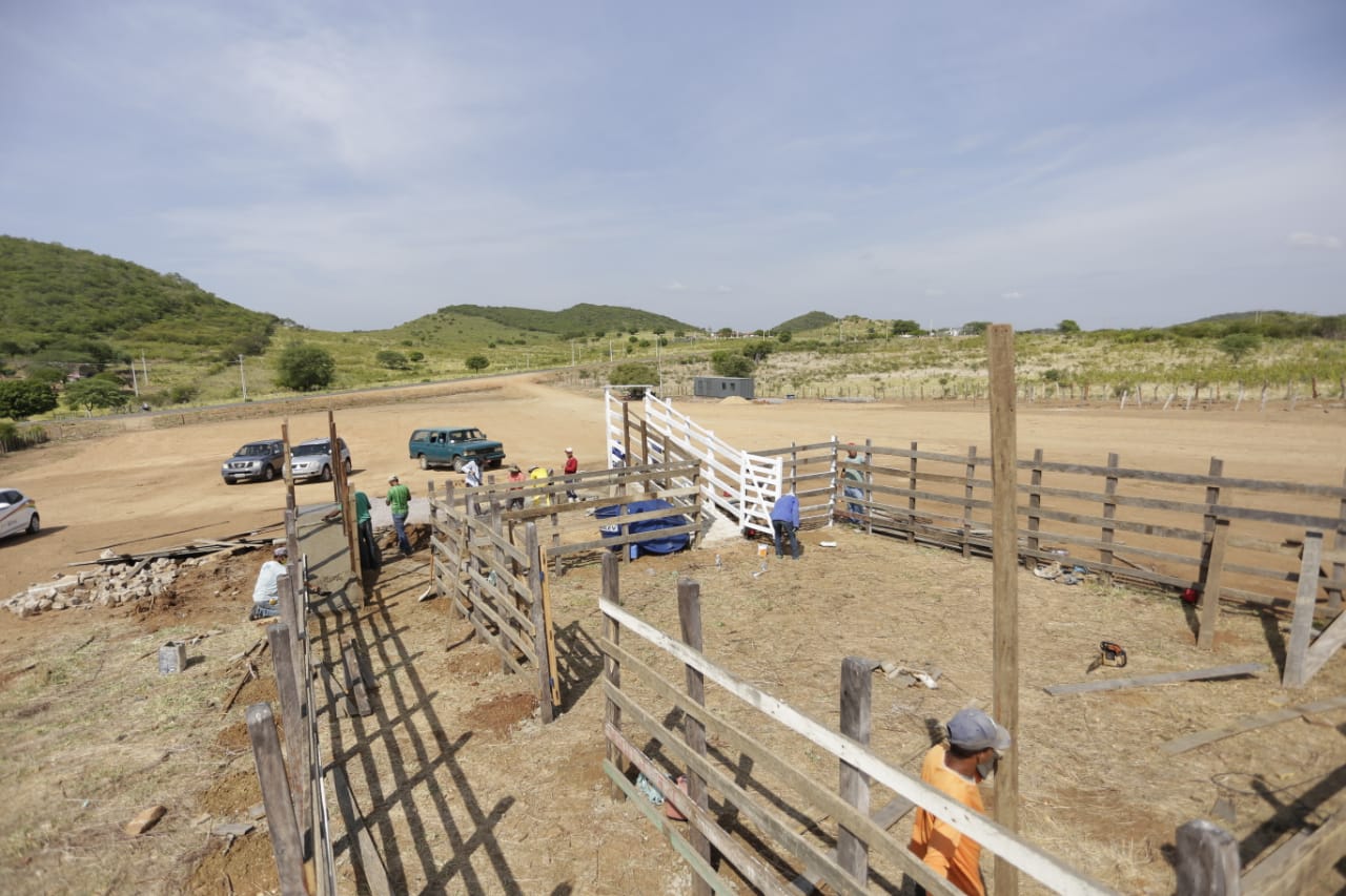 Feira de Animais de Serra Talhada começa a funcionar em novo local