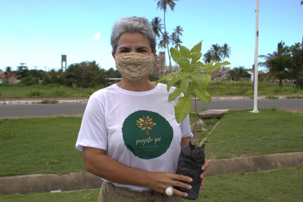 Projeto Ipê dará um novo visual à entrada de Porto de Galinhas