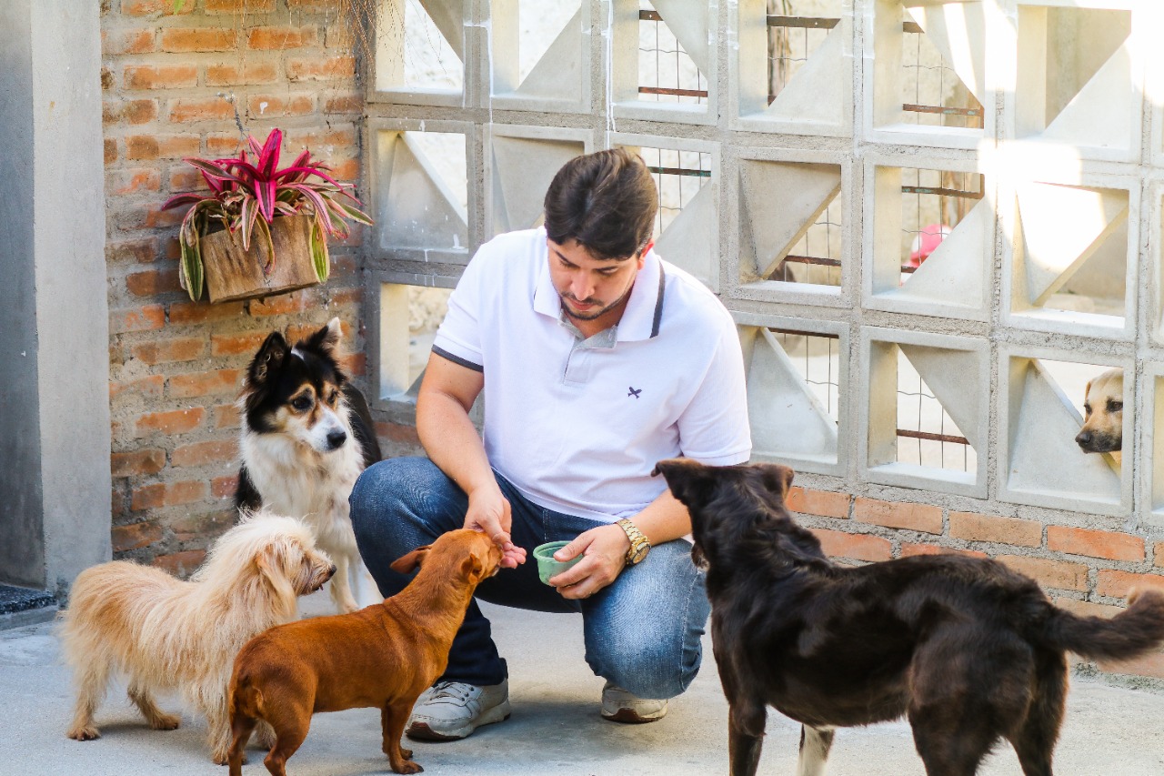 Fagner comemora criação da Comissão dos Direitos dos Animais