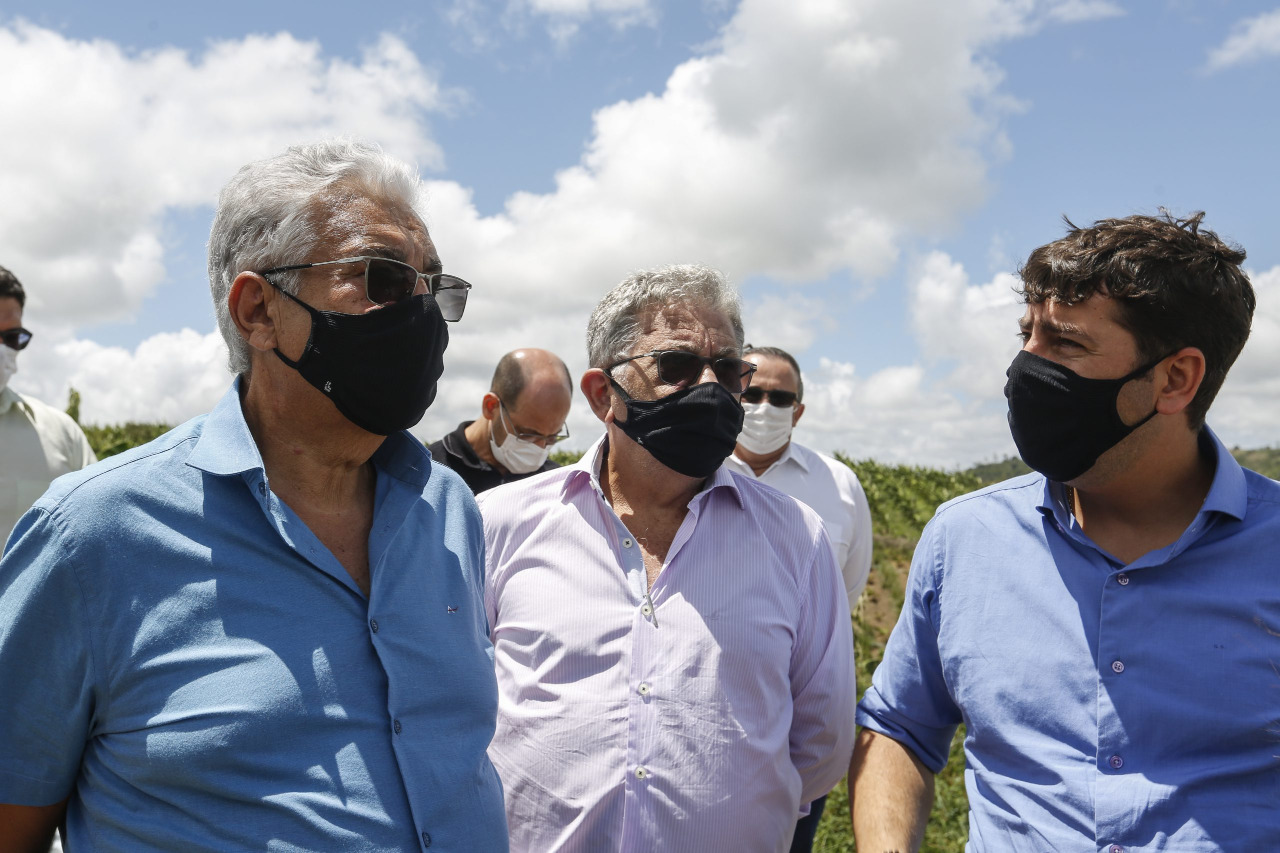 Alepe busca solução para praga no Agreste Central