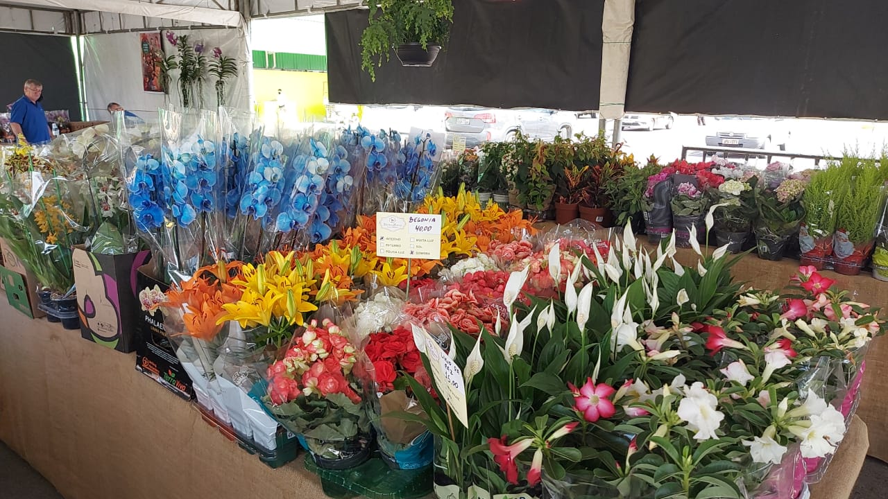 Feira de Flores de Holambra de Caruaru acontece em novo local