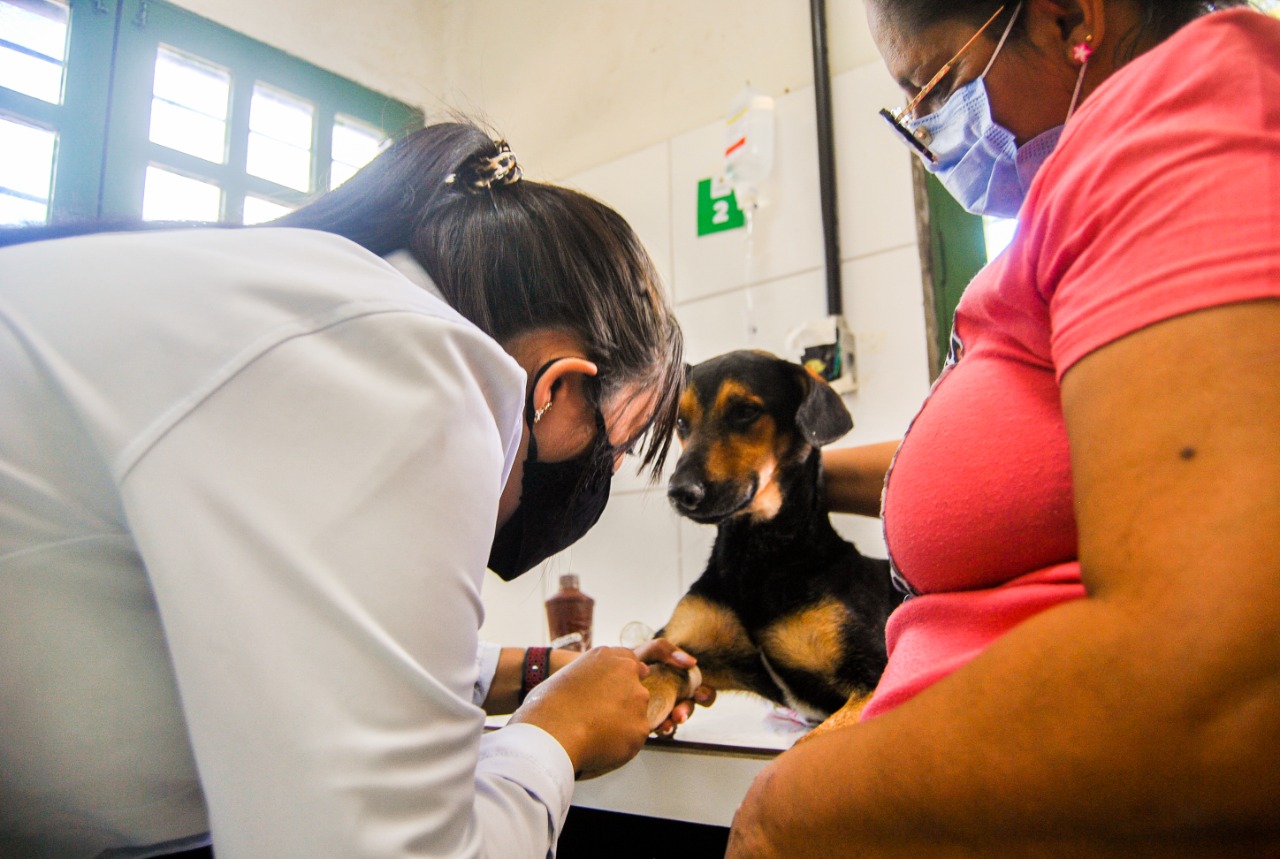 AME Animal Caruaru amplia horários de funcionamento  