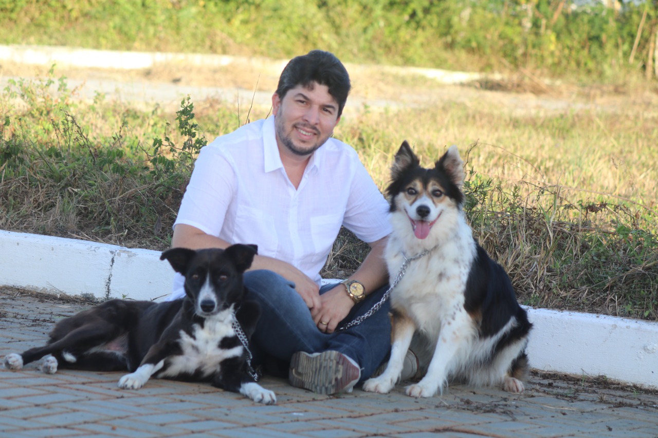 Feira de adoção de animais acontece sexta em Caruaru