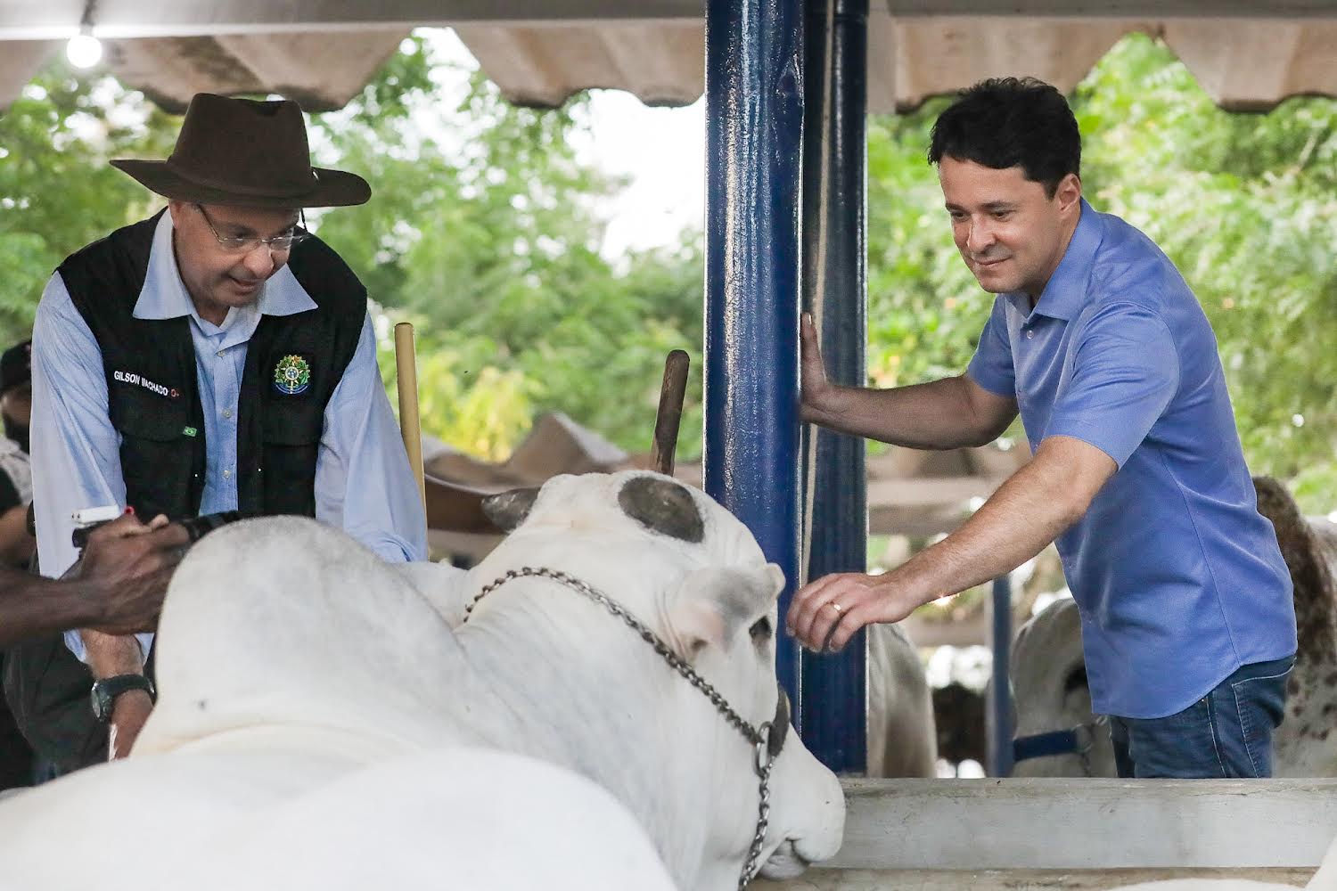 Anderson lamenta falta de apoio aos produtores do agronegócio