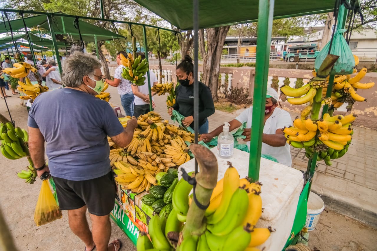 Feira da Agricultura Familiar será realizada nesta quarta (20)