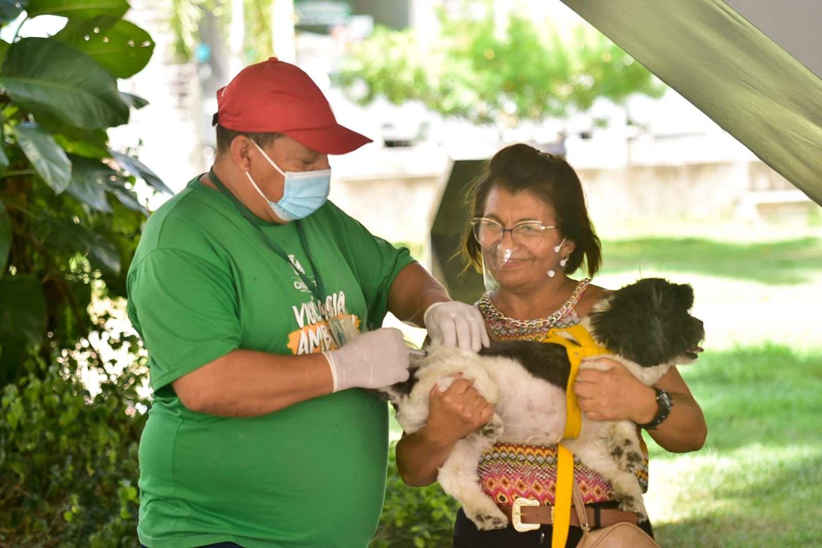 Caruaru realiza vacinação antirrábica no município
