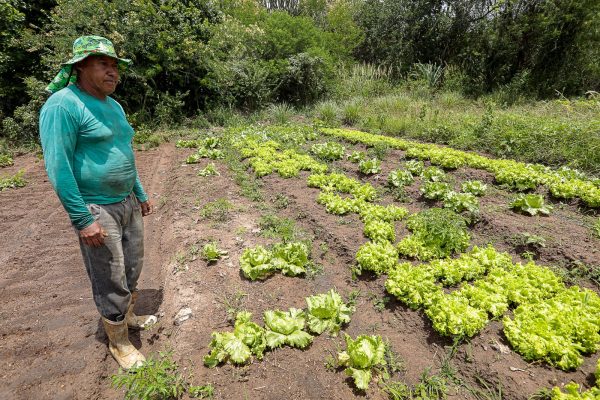 Projeto Caruaru Agroecológico capacita mais 40 famílias de agricultores