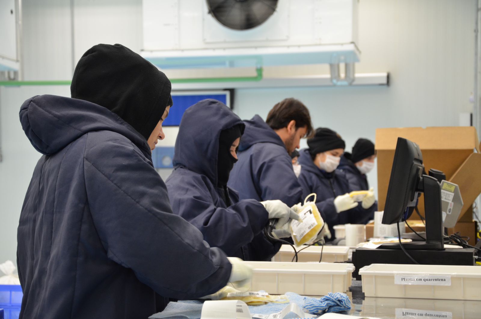 Hemobrás recebe selo de Empresa Estratégica de Defesa