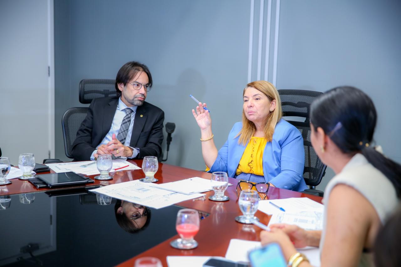 Unale inicia planejamento para Seminário Nacional de Legisladoras