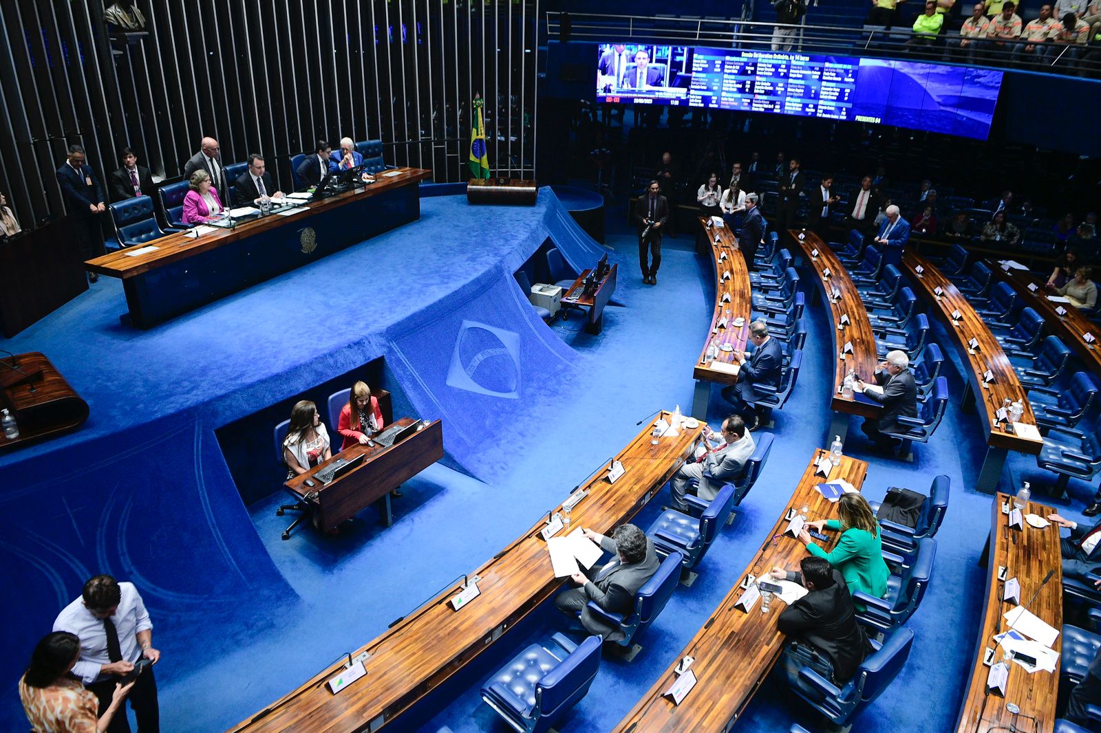 Senado aprova proteção de crianças como parte da formação de educadores