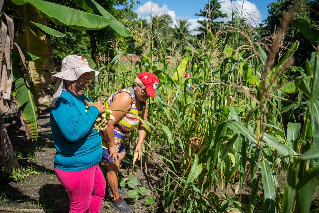 MST realiza doação de 5 toneladas de alimentos em Caruaru