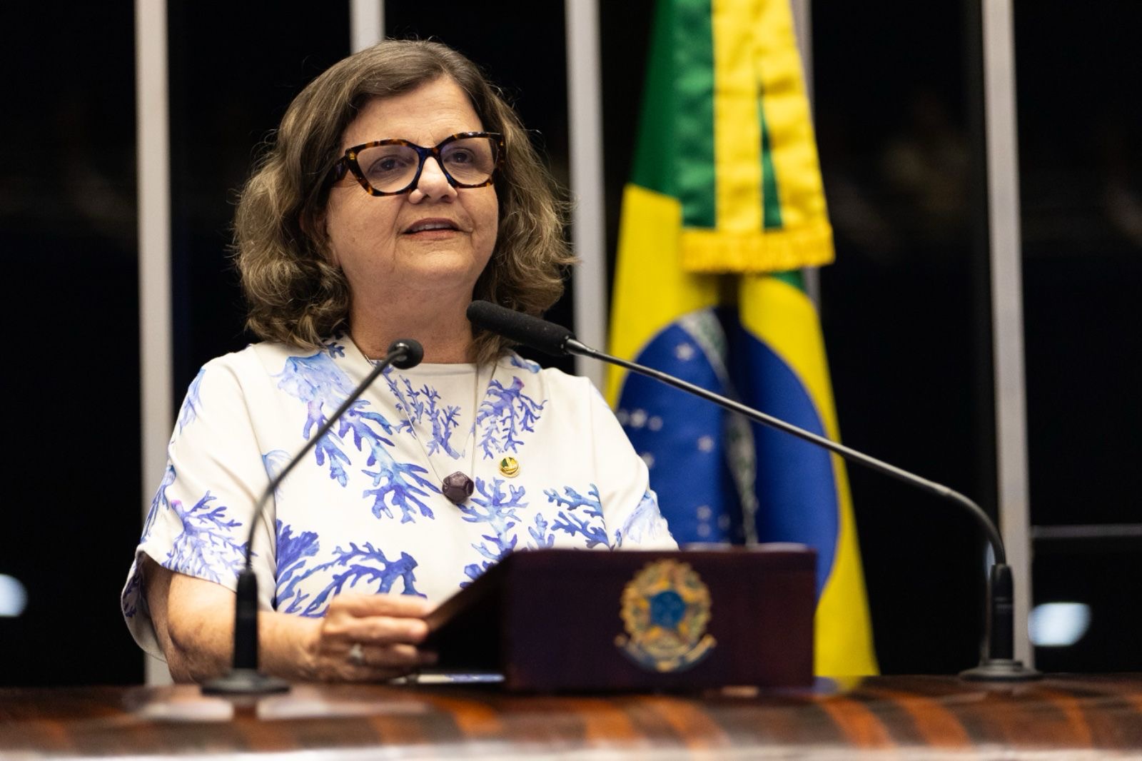 Teresa exalta Data Magna de Pernambuco no Senado Federal