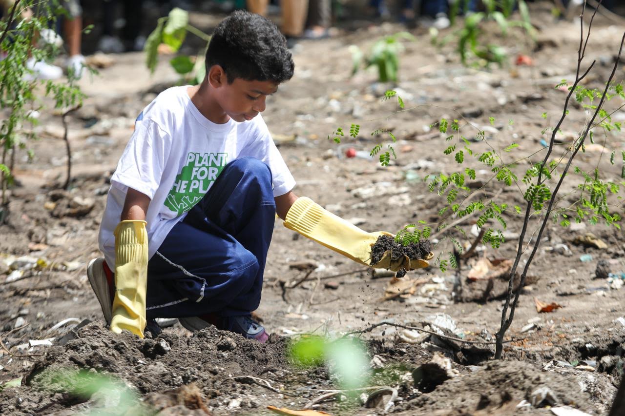 Jaboatão planta 500 árvores em comemoração ao Dia do Meio Ambiente 
