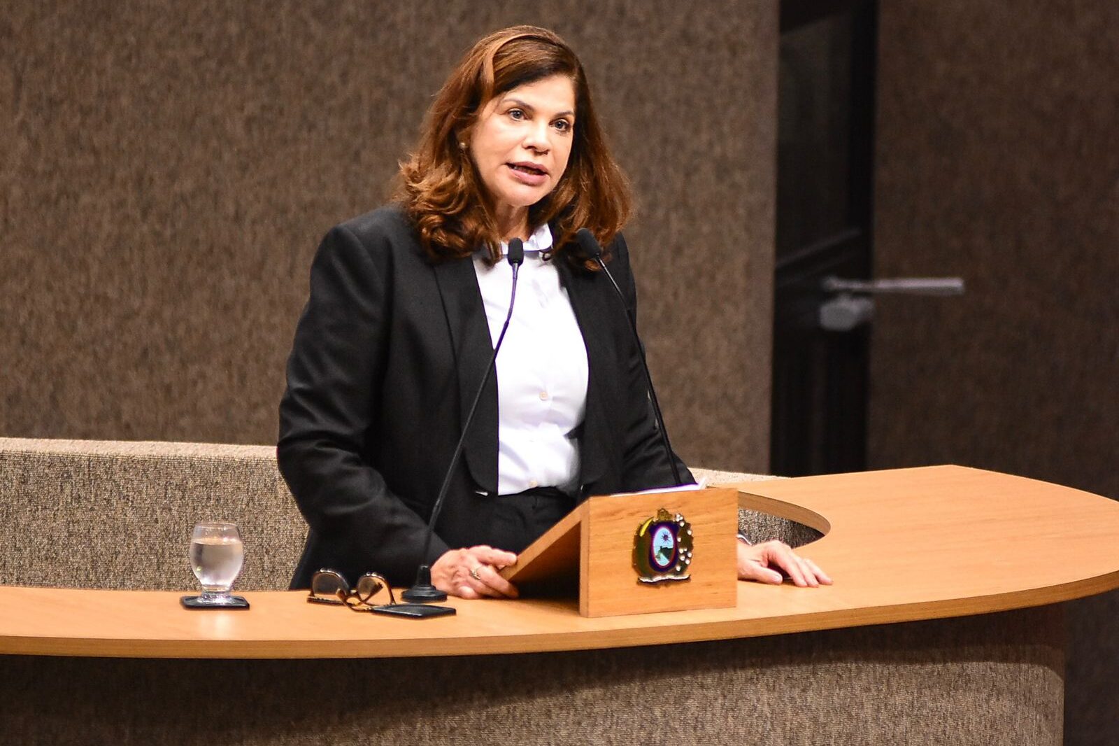 Governo desfaz “blocão” e afirma ser movimento estratégico para compor comissões na Alepe