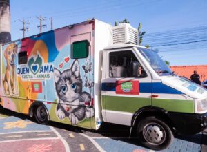 Recife inicia castramóvel com serviços gratuitos de castração e microchipagem 
