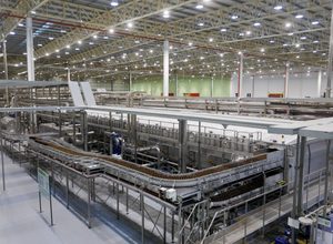Indústria pernambucana cresce 16,5%, aponta IBGE