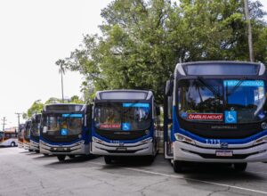 TRE-PE garante retorno gratuito sem exigência do bilhete de ida
