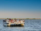 ProMorar Recife leva crianças para passeio de catamarã pelo Capibaribe