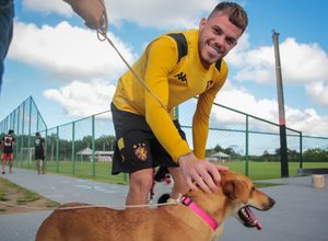 Sport e Prefeitura do Recife lançam parceria para incentivar adoção de cães e gatos